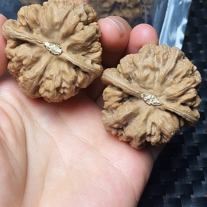 吊坠文玩核桃粗筋