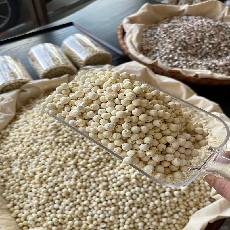 珠妈甄选-精选白芡实