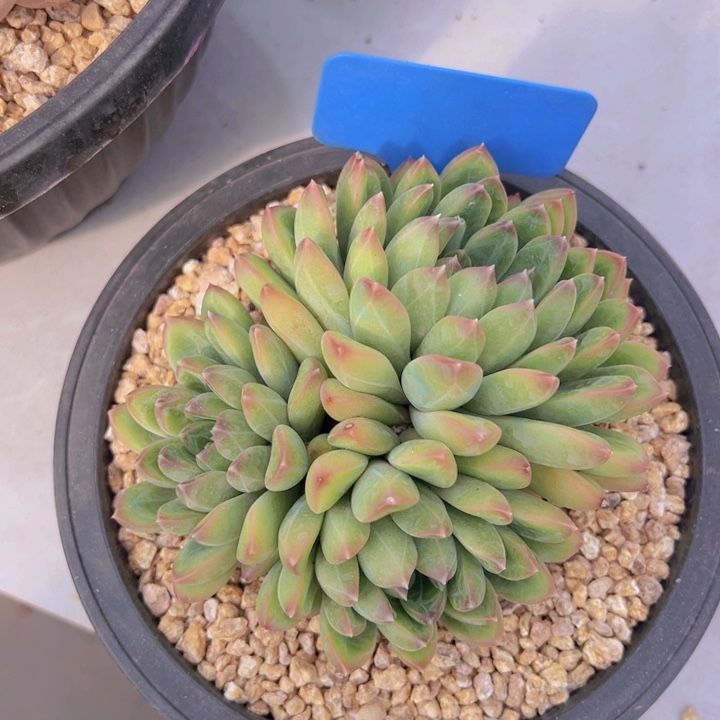 健健康康平平安安