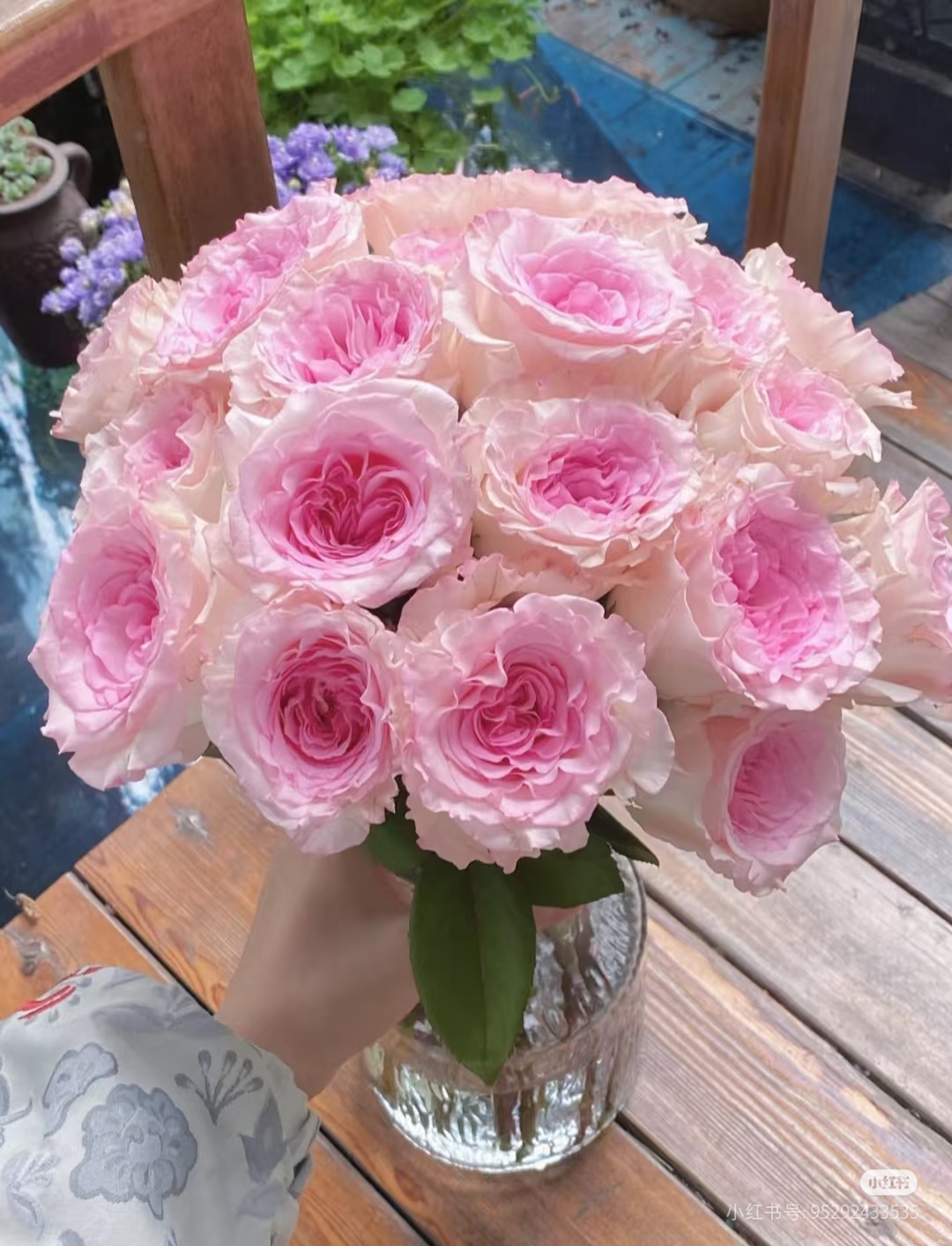 【好物鲜花】洛神玫瑰两单包邮一单不售后