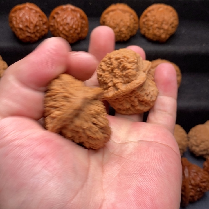 文玩核桃把件边****原原树白云寺马蹄