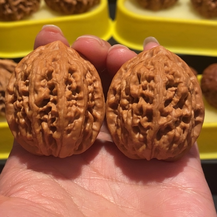 文玩核桃37尺凤凰台
