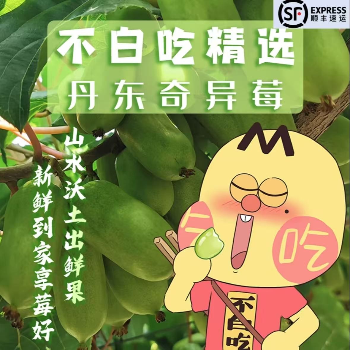 【我是不白吃】新鲜丹东软枣猕猴桃奇异莓当季水果口感细腻甜酸多汁