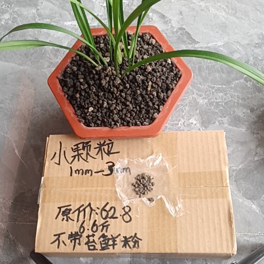倪***伟兰菌黑山土小颗粒6.6斤