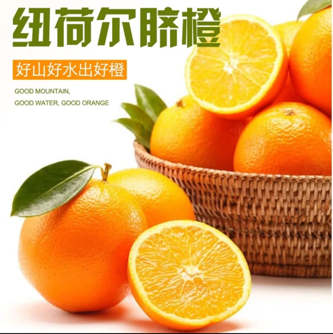 正宗纽荷尔脐橙应当季新鲜秭归赣南脐橙现摘橙子当季水果整箱10斤