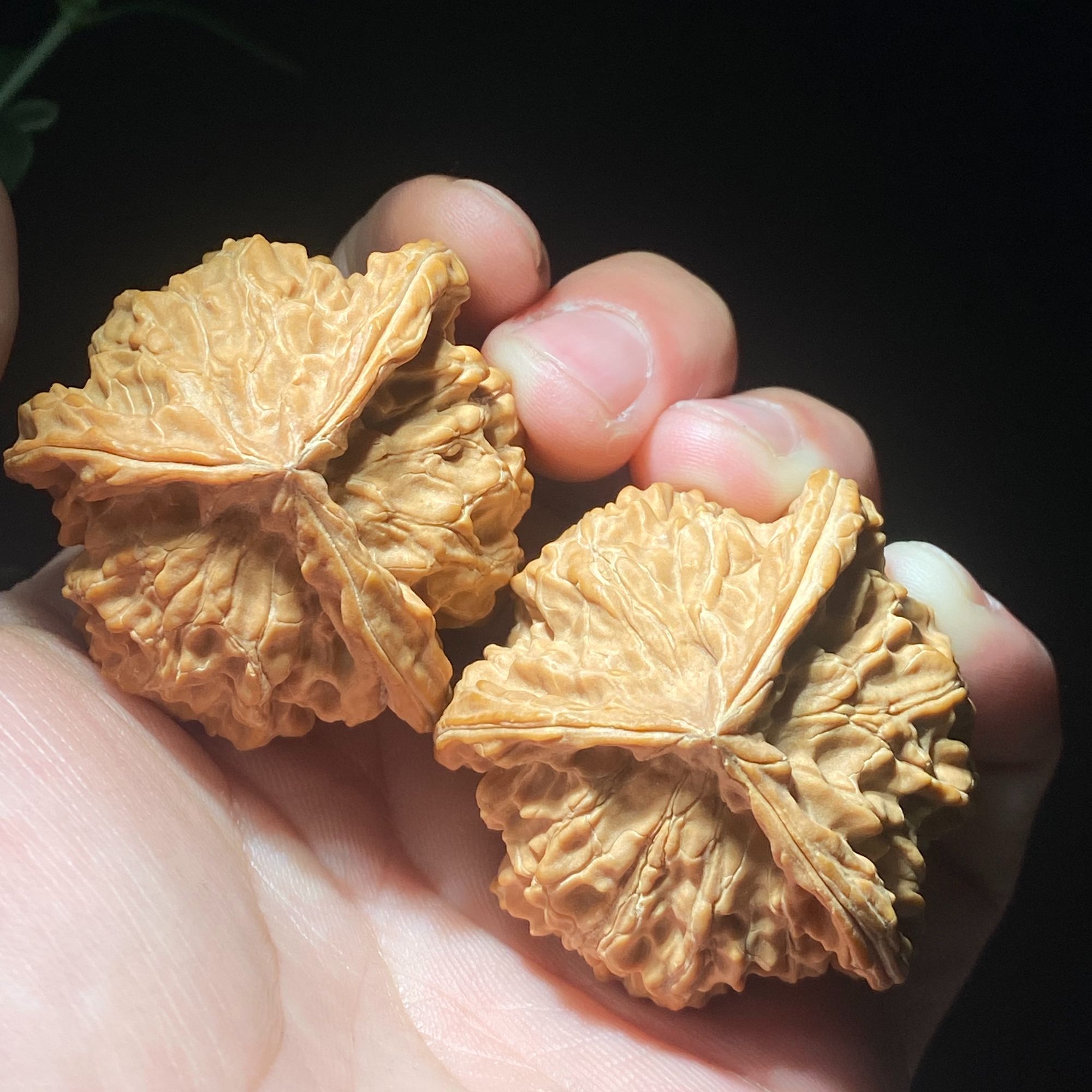 文玩核桃乾隆磨四座楼磨盘白狮子大粗筋（以直播间实物为准）