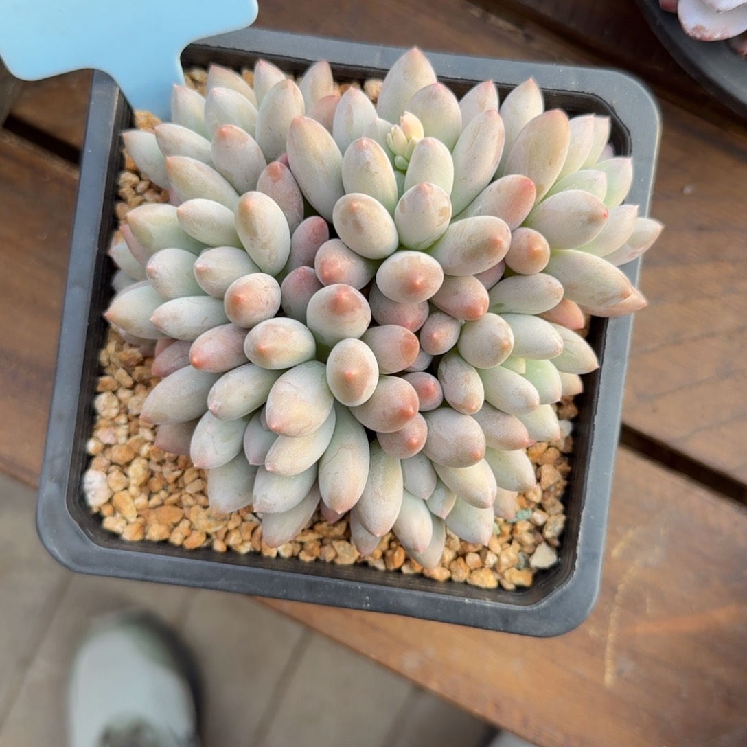 清***远11111111111111111111111