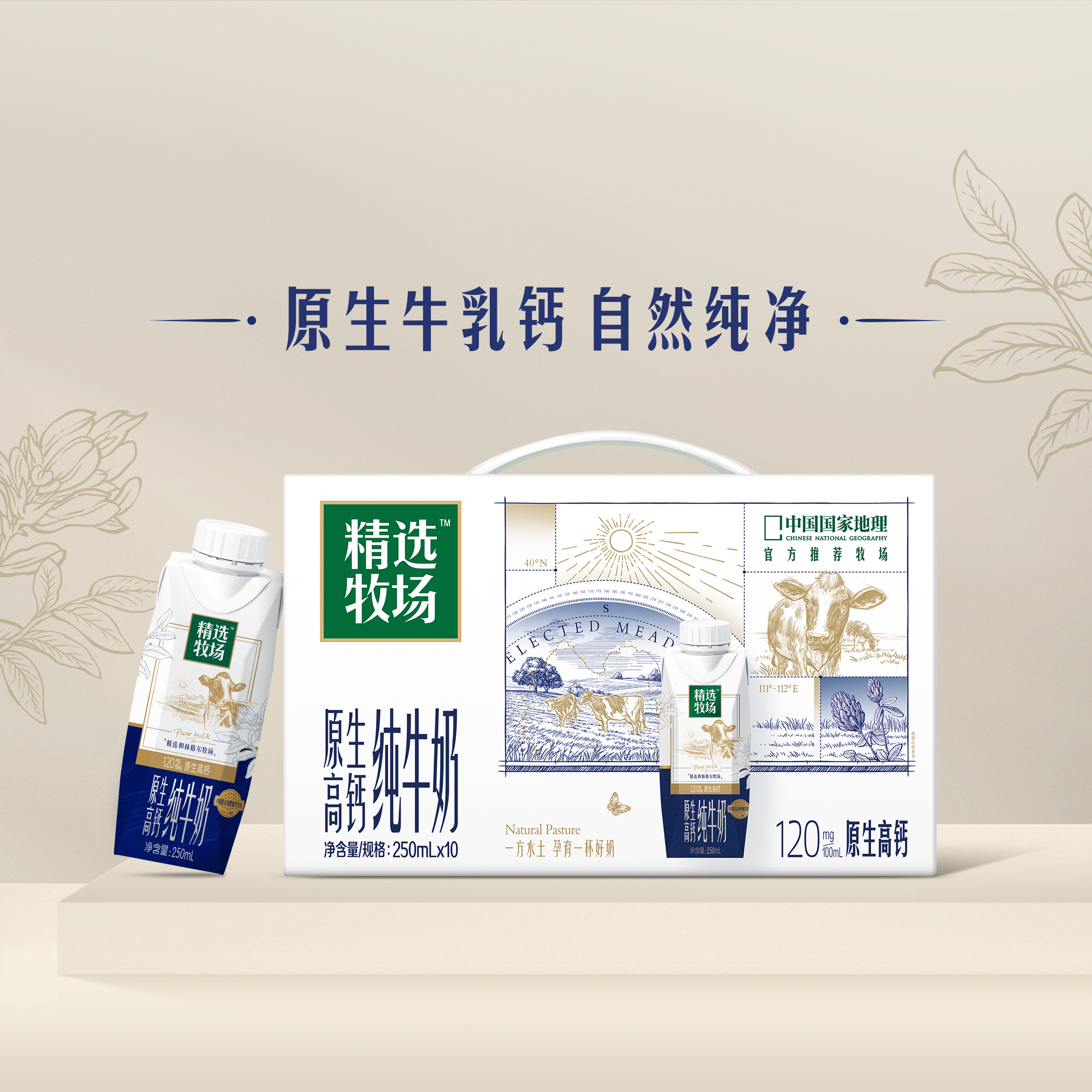 6月蒙牛精选牧场原生高钙纯牛奶全脂灭菌乳梦幻盖250mL×10包(有赠品)