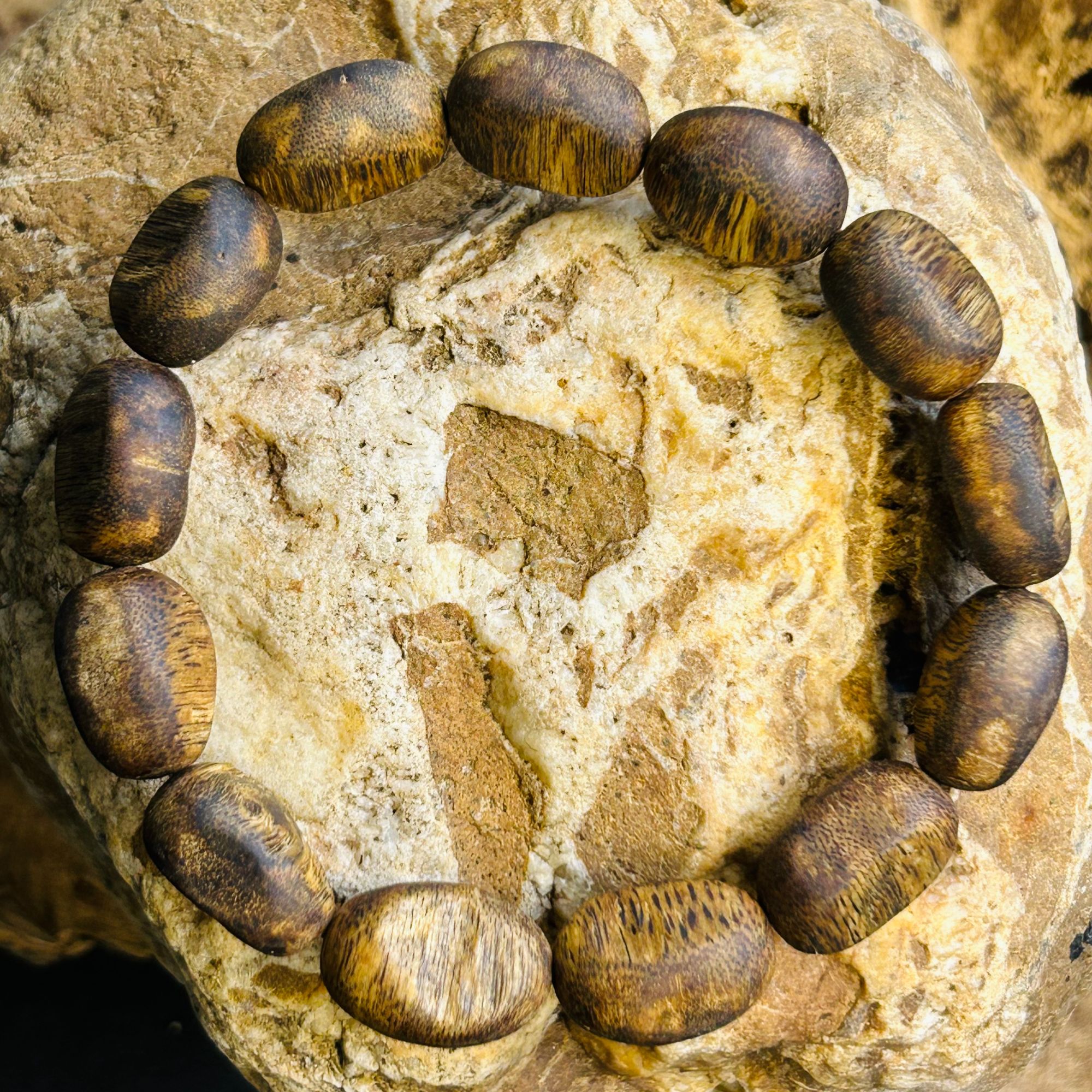 沉香【瘤疤虫漏料单圈】海南莺歌绿棋楠沉香随形手串 多样性发其一