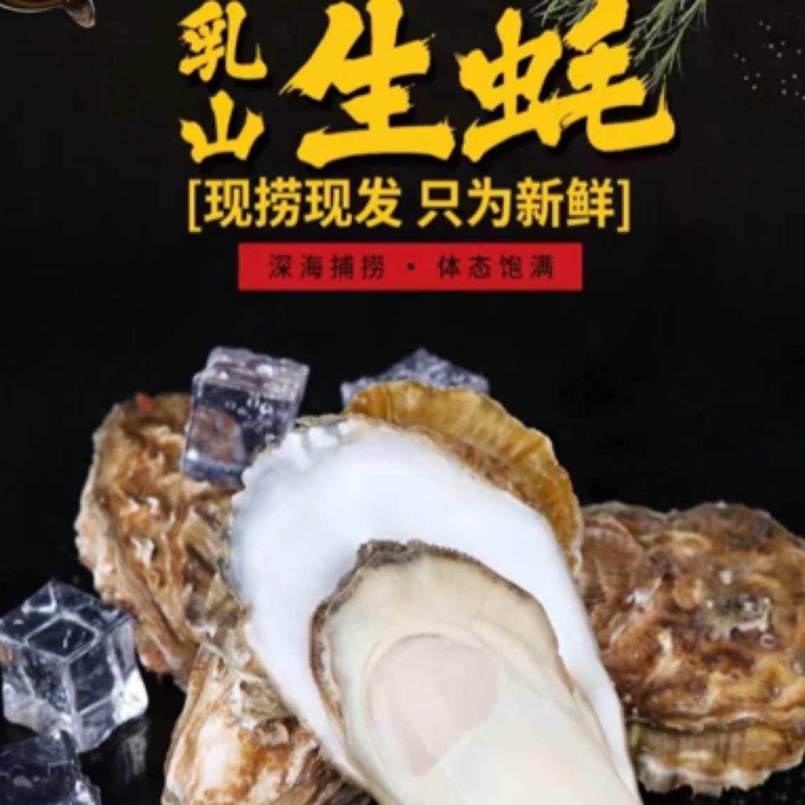 乳山中号生蚝（鲜活中号生蚝5斤）1斤4-5只/顺丰包邮