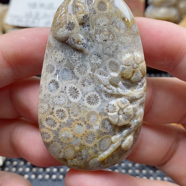 硅化珊瑚（珊瑚玉）颈饰未镶嵌