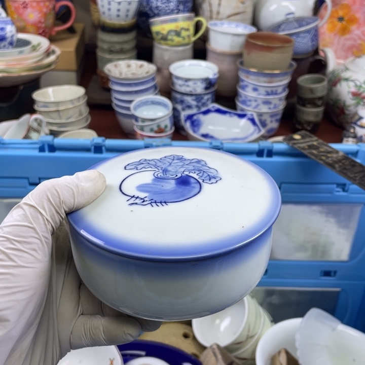 碟开播了开播了开播了