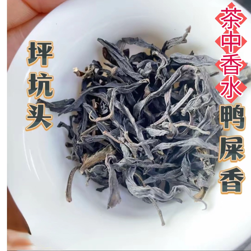 凤凰单丛坪坑头高山老丛鸭屎香花香山韵奶韵足香甜茶叶回甘