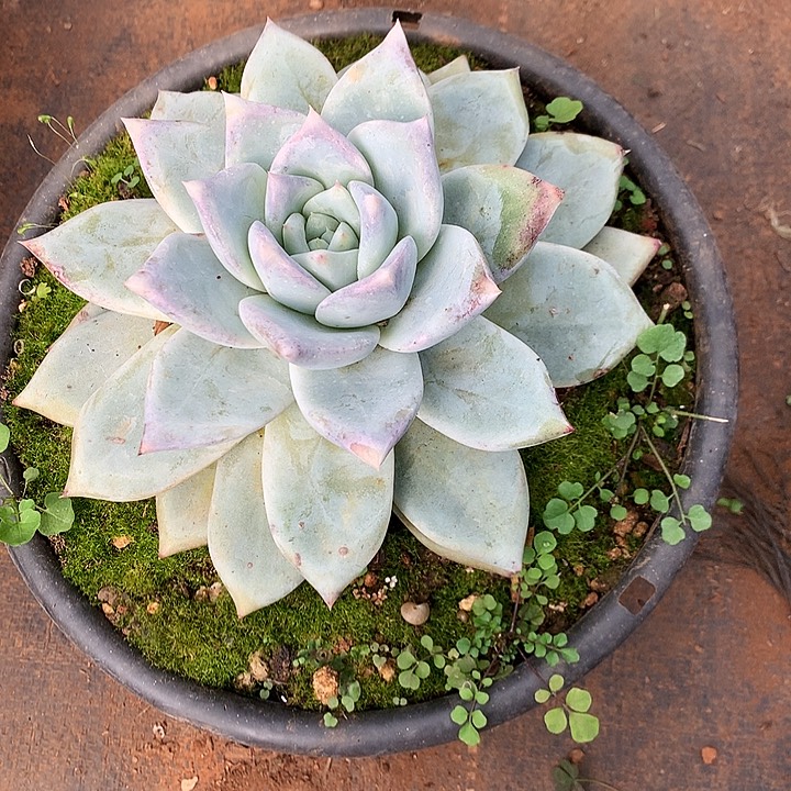 规***姐美肉特价活动开始啦