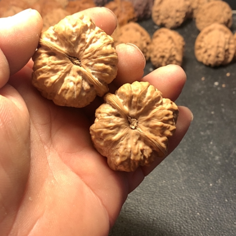 【闪购商品】今*?蛤蟆