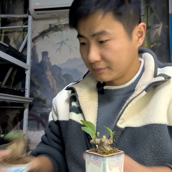 忧***子中青园艺一物一拍花403