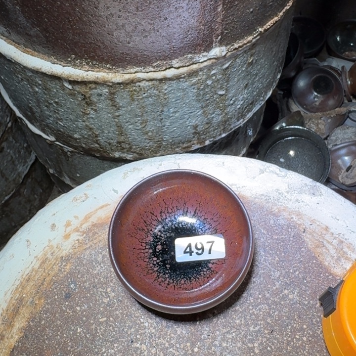 茶盏提出解决农村留守学生入学面临