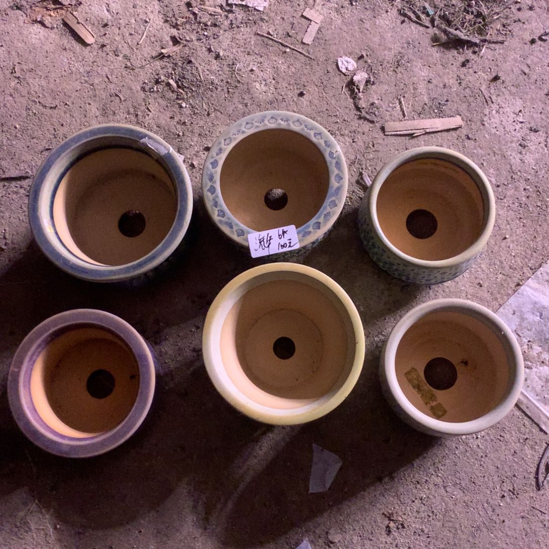 流年东云烧6个100元