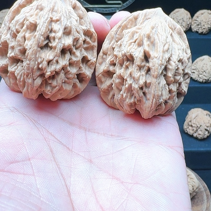 【闪购商品】把件桃核