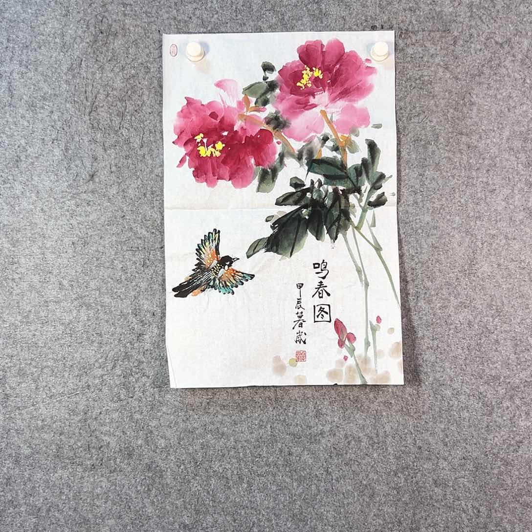 国画365 花鸟等各种鸟类栖息