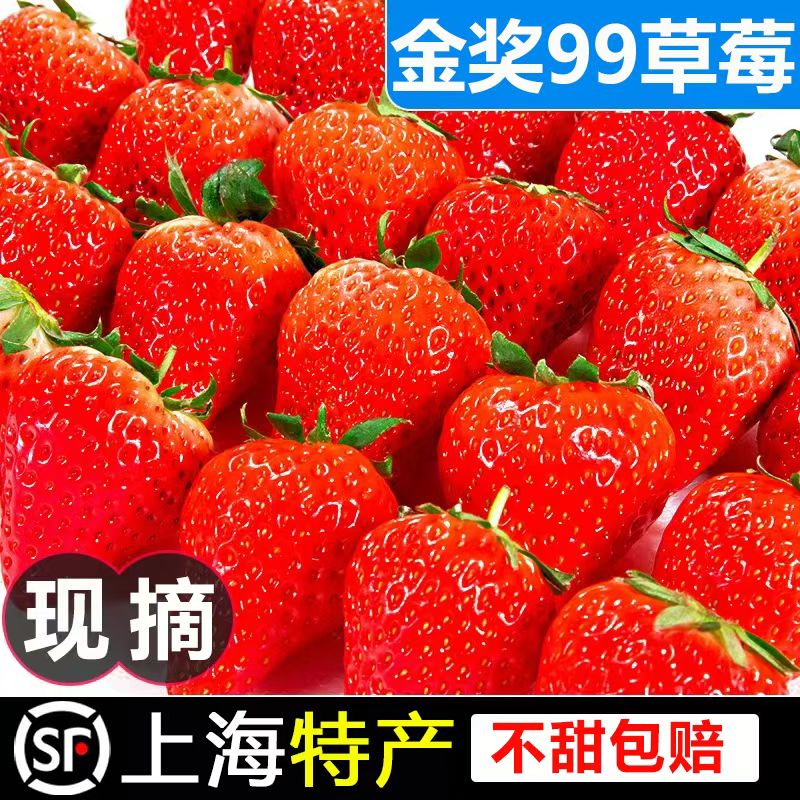2盒装（全国金奖草莓）上海本地特产头茬红颜99奶油草莓孕妇水果（不甜包赔）放心选购!