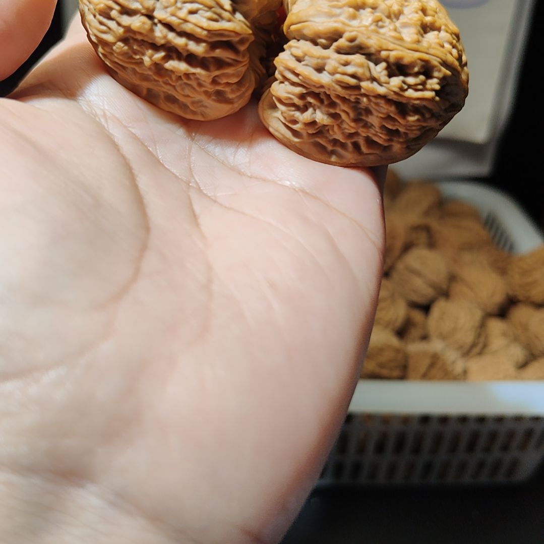 蛋***肉南疆石狮子头一物一图