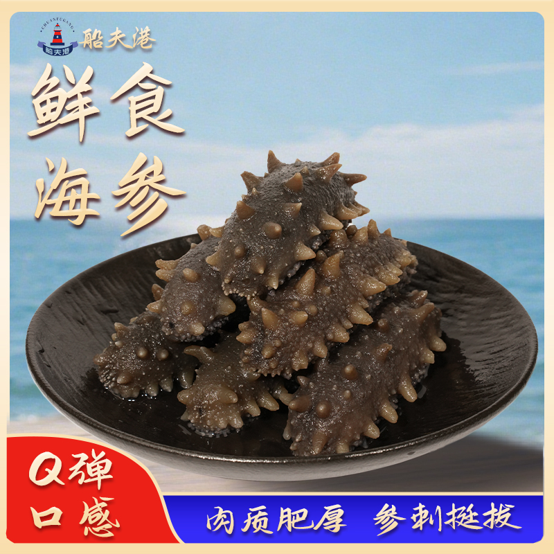 【顺丰冷链】船夫港刺参鲜食口感Q弹海参