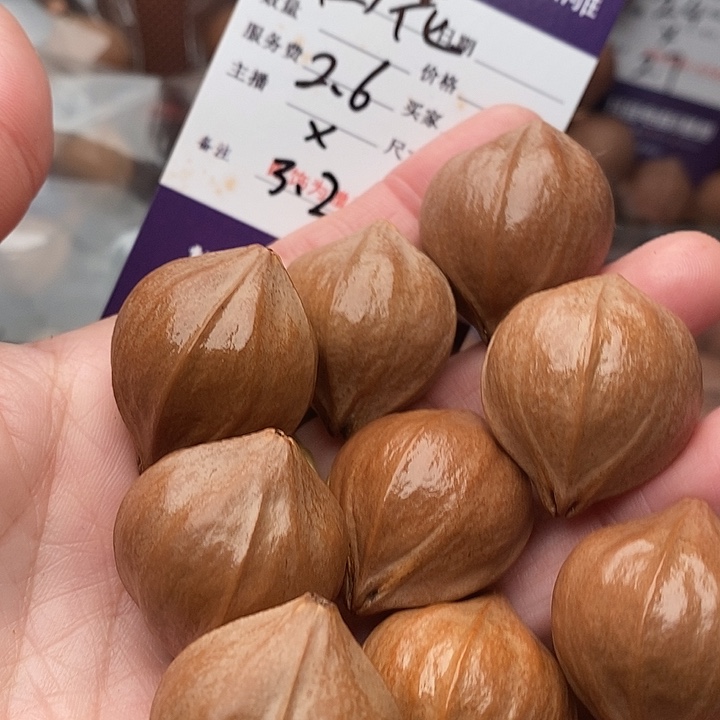 手串/手链橄榄核龙**澜