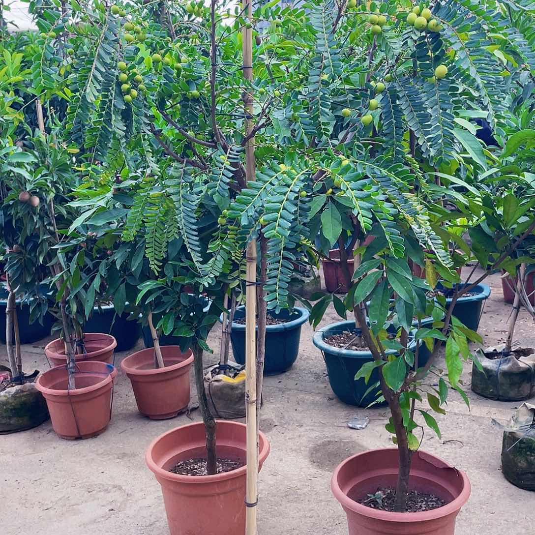 完全开放古****恒g m 88888888888