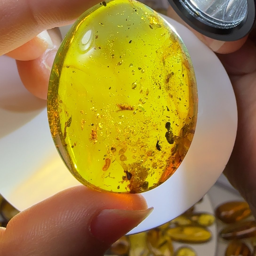 未镶嵌琥珀裸石蝉甲虫