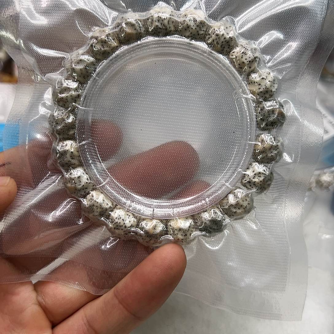 星月菩提手串100灭火糯冰火烧云石玉星月菩提单圈11