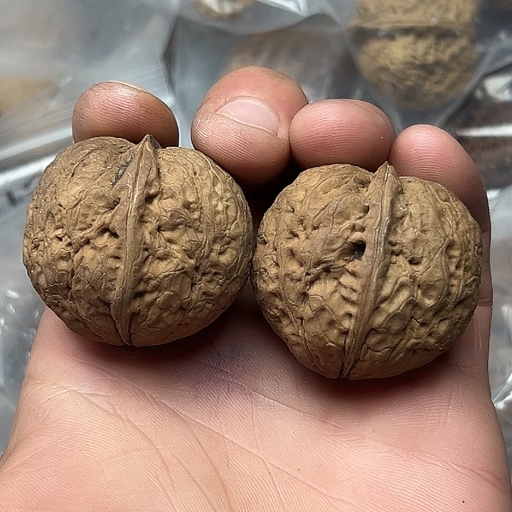 核桃15号心型元宝40尺