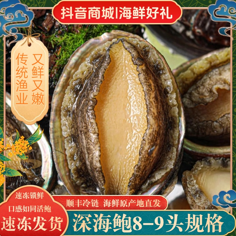 【丰鲍】6-7cm左右东山鲍鱼8-9头 东山岛深海活鲍液氮冷冻鲍鱼发货