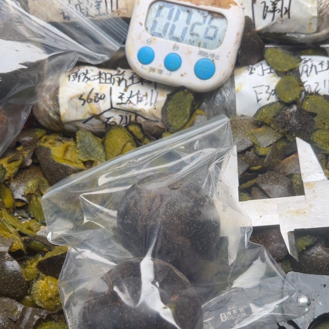 一***舟回家斤斤计较斤斤计较哈哈