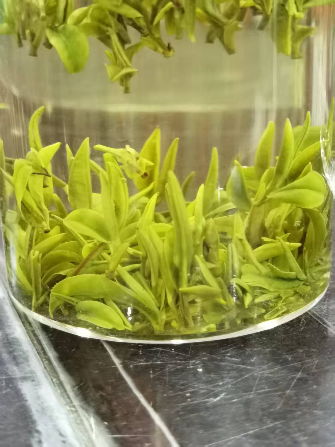 2025年 新茶 原产地  手工 兰花  250g -500g