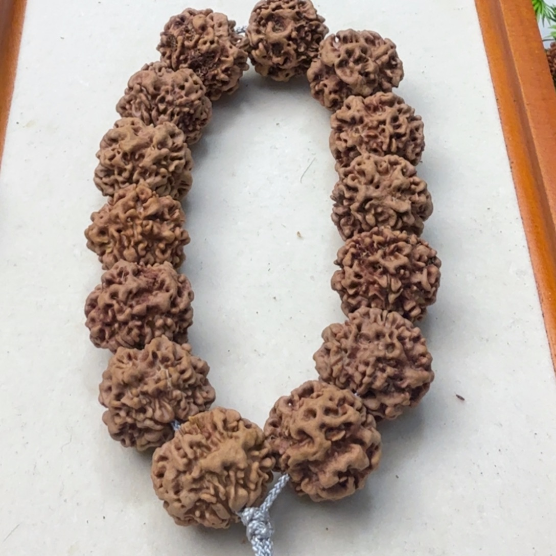 金刚菩提吊坠野生籽0瓣大尺寸21➕