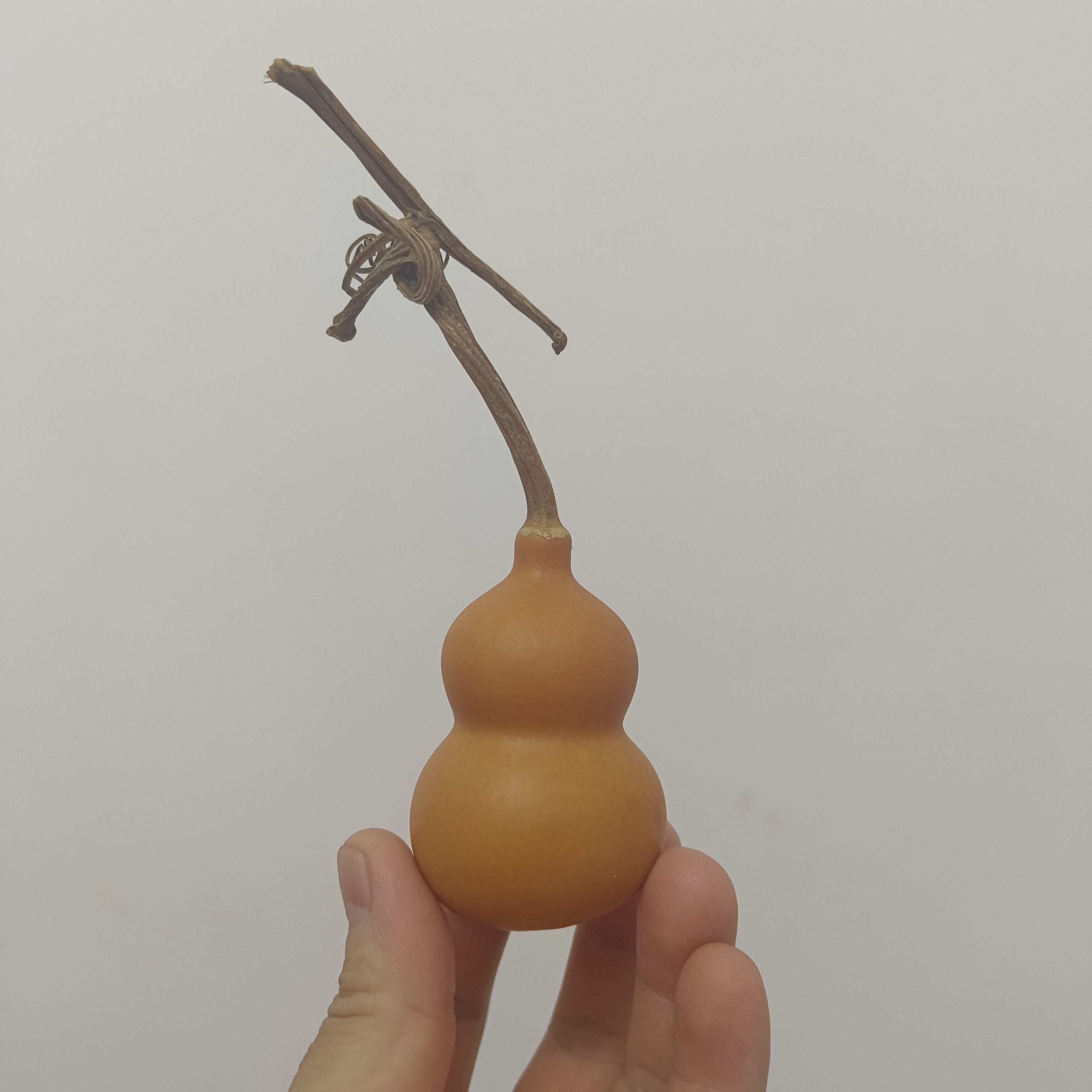 工天然小葫芦文玩手把件精品，一物一拍