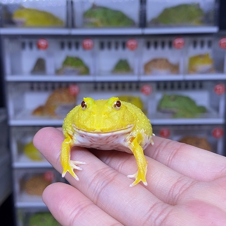 特价秒杀现货供应