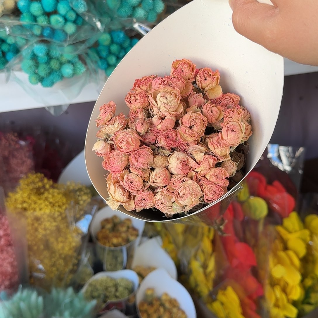 K74号粉色浪漫泡泡1束