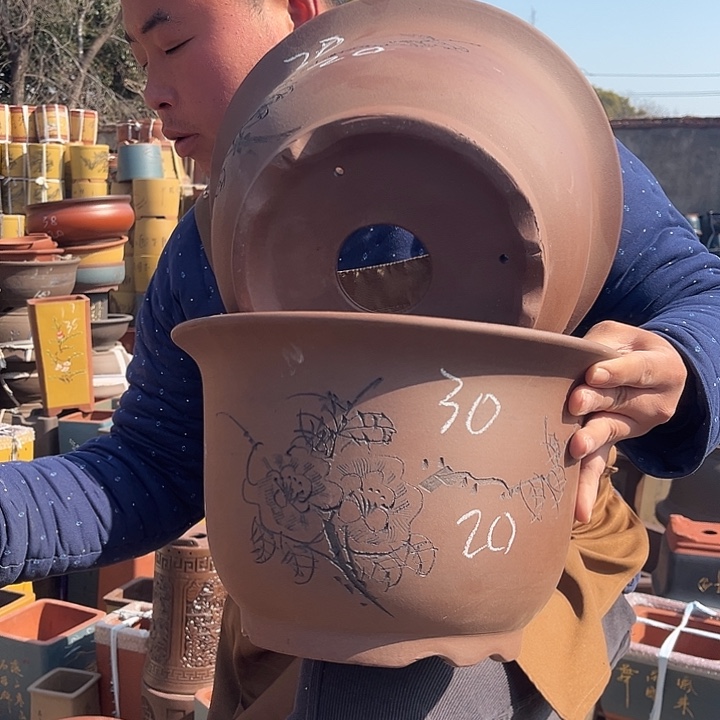 紫砂紫砂花盆盆栽