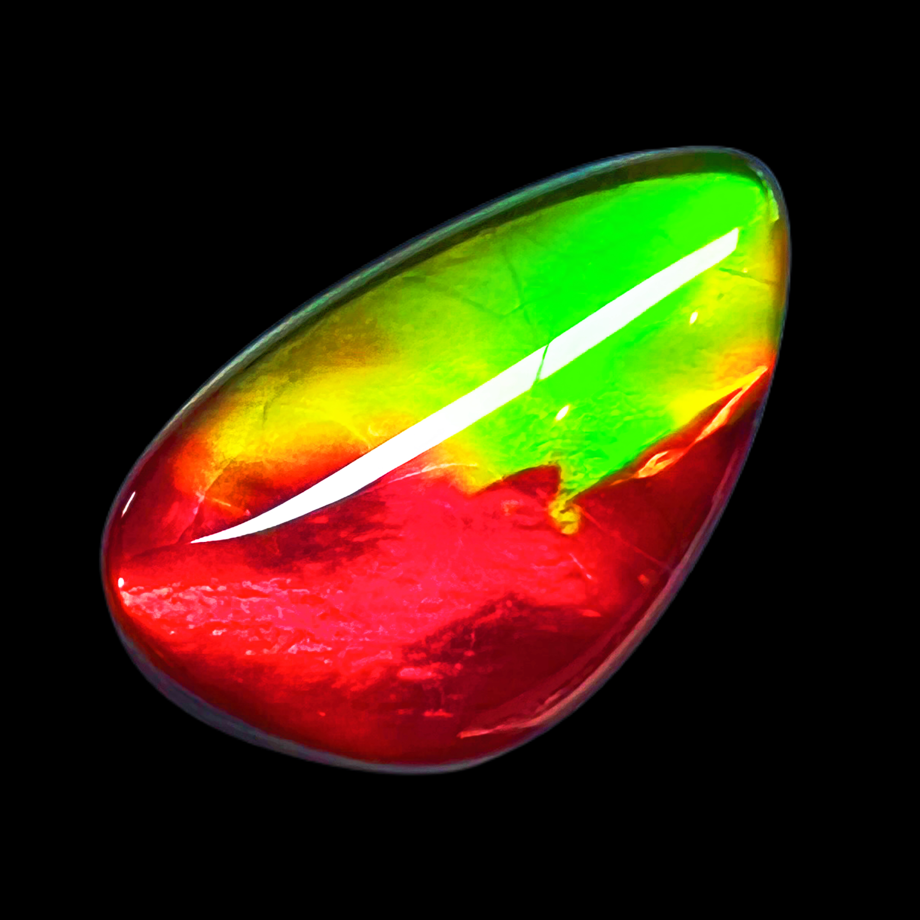  【斑彩】19.8mm 双色 裸石 加拿大 N-15 YS-H 贝壳摆件 H115