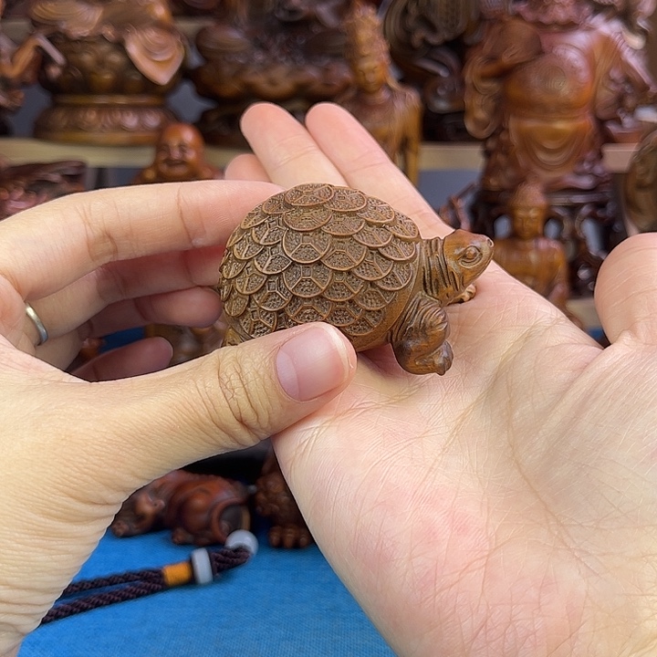 黄杨木小叶黄杨木