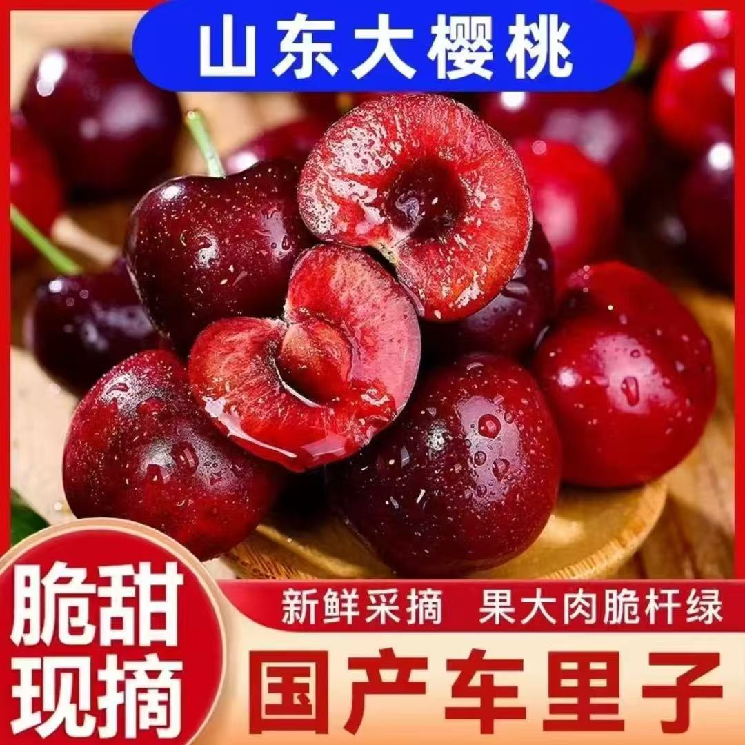 山东新鲜采摘樱桃车厘子孕妇新鲜水果国产现摘小红灯4斤顺丰包邮