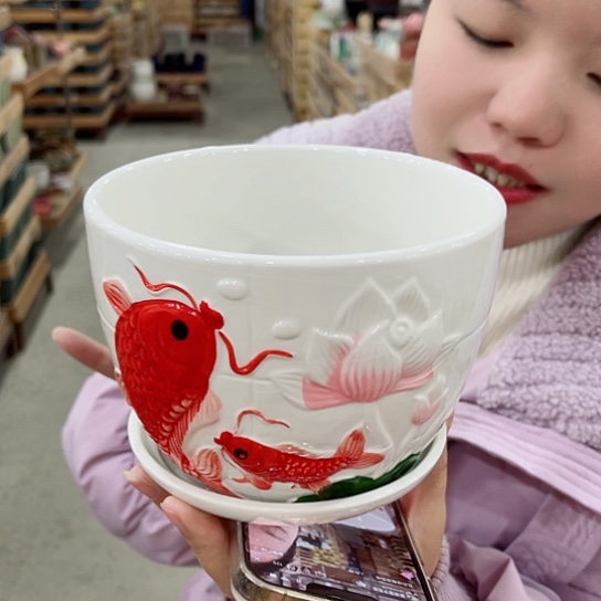 红陶花盆里还有几棵树上