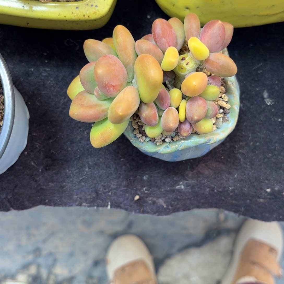 ****️11111111111111111