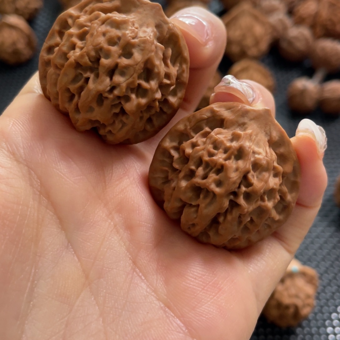 笑*疯秦岭神树吃瓜吃瓜吃