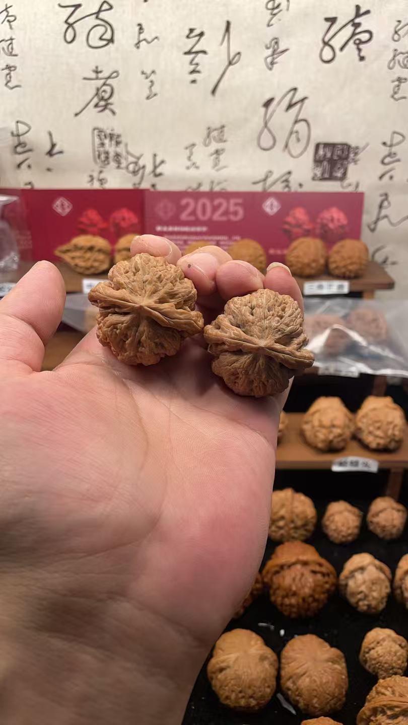 41全品无修大粗筋