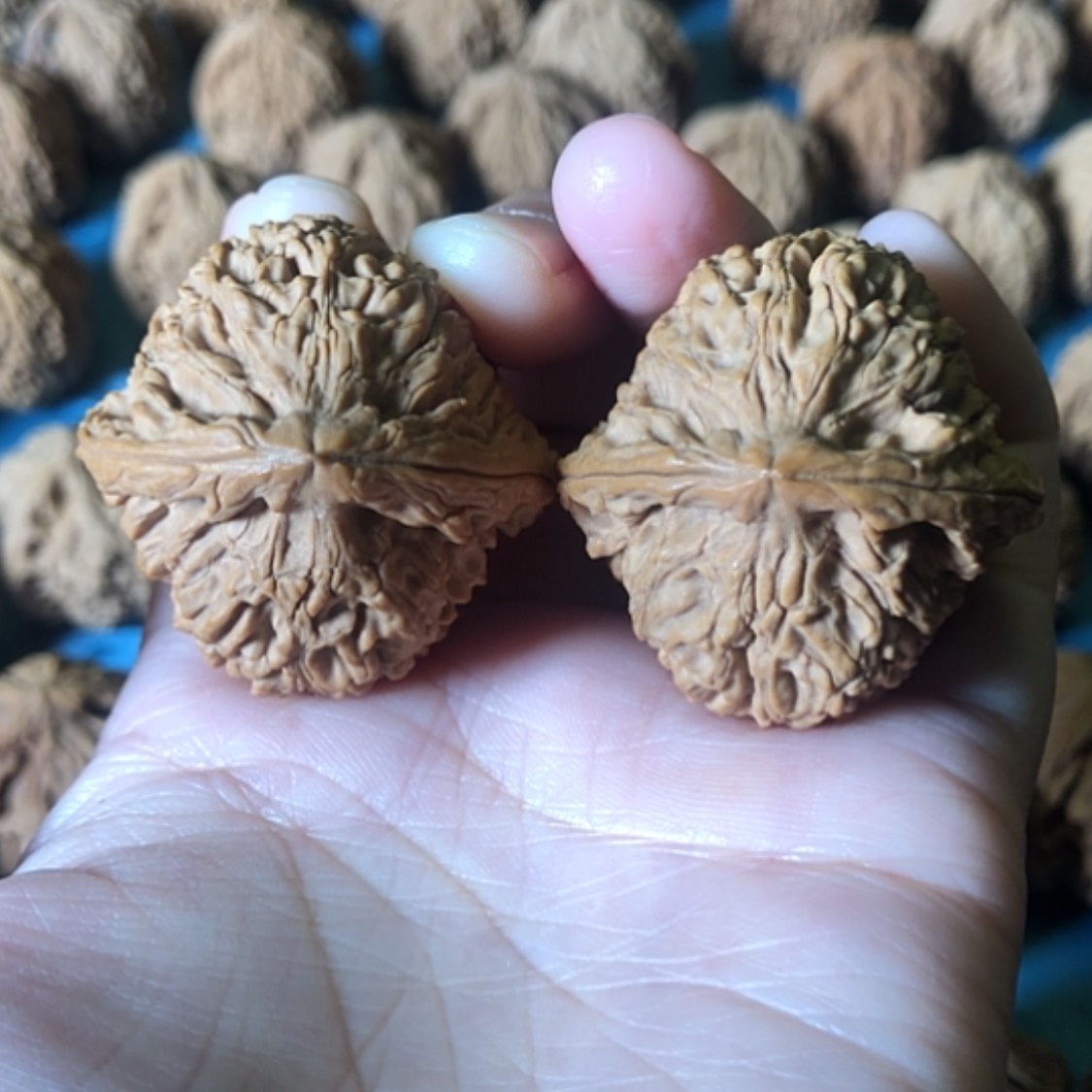 【闪购商品】文玩核桃把件佬*头一大将