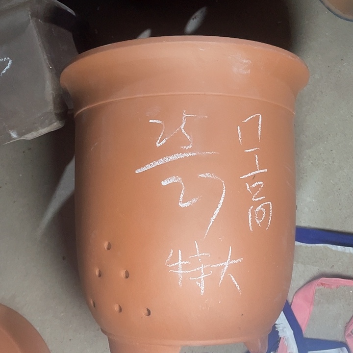 红陶z s z s z s