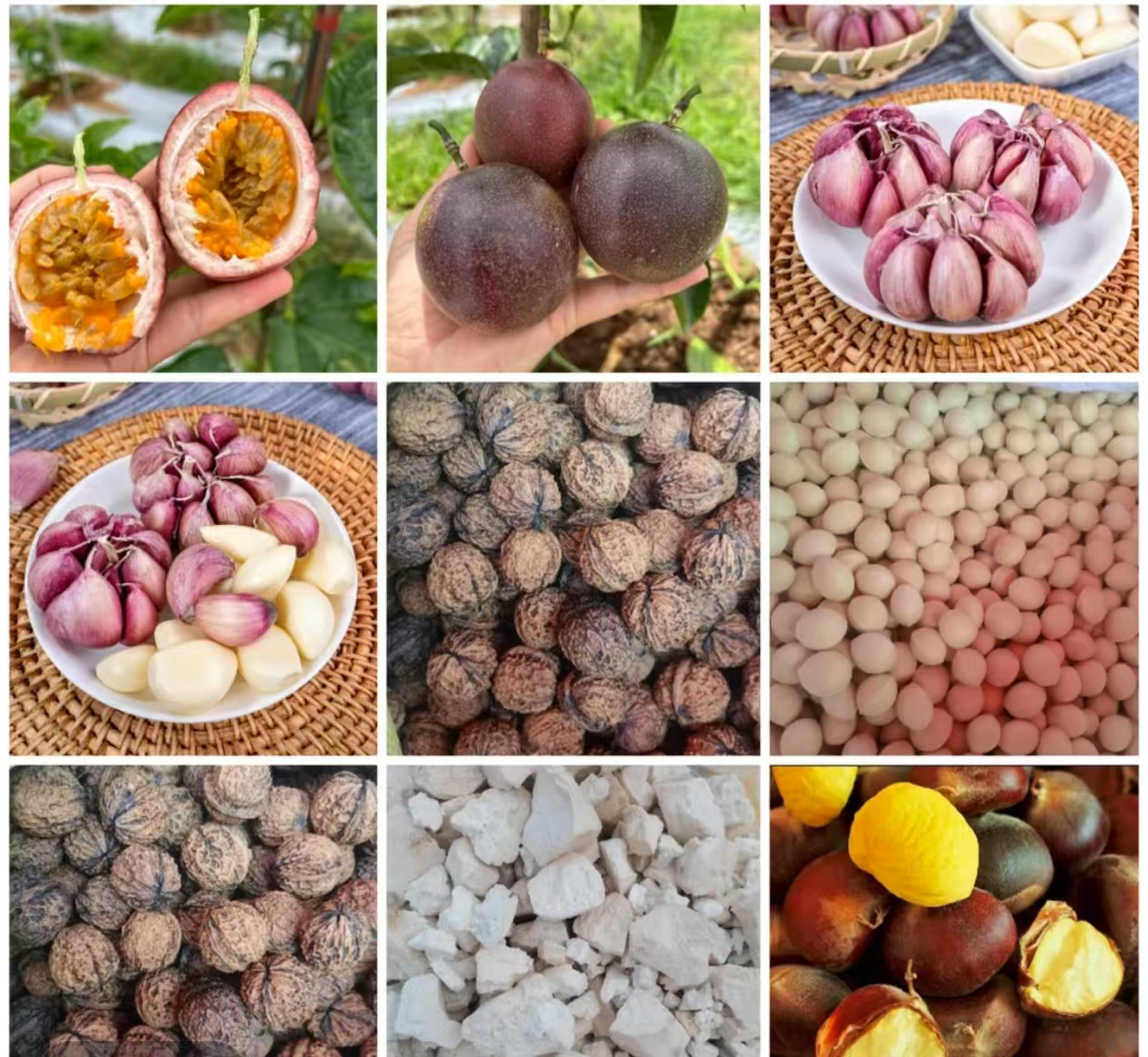 云南农家土特产临时链接1号非香菇